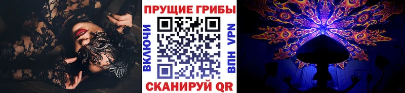 продажа наркотиков Камызяк Псилоцибиновые грибы Magic Shrooms